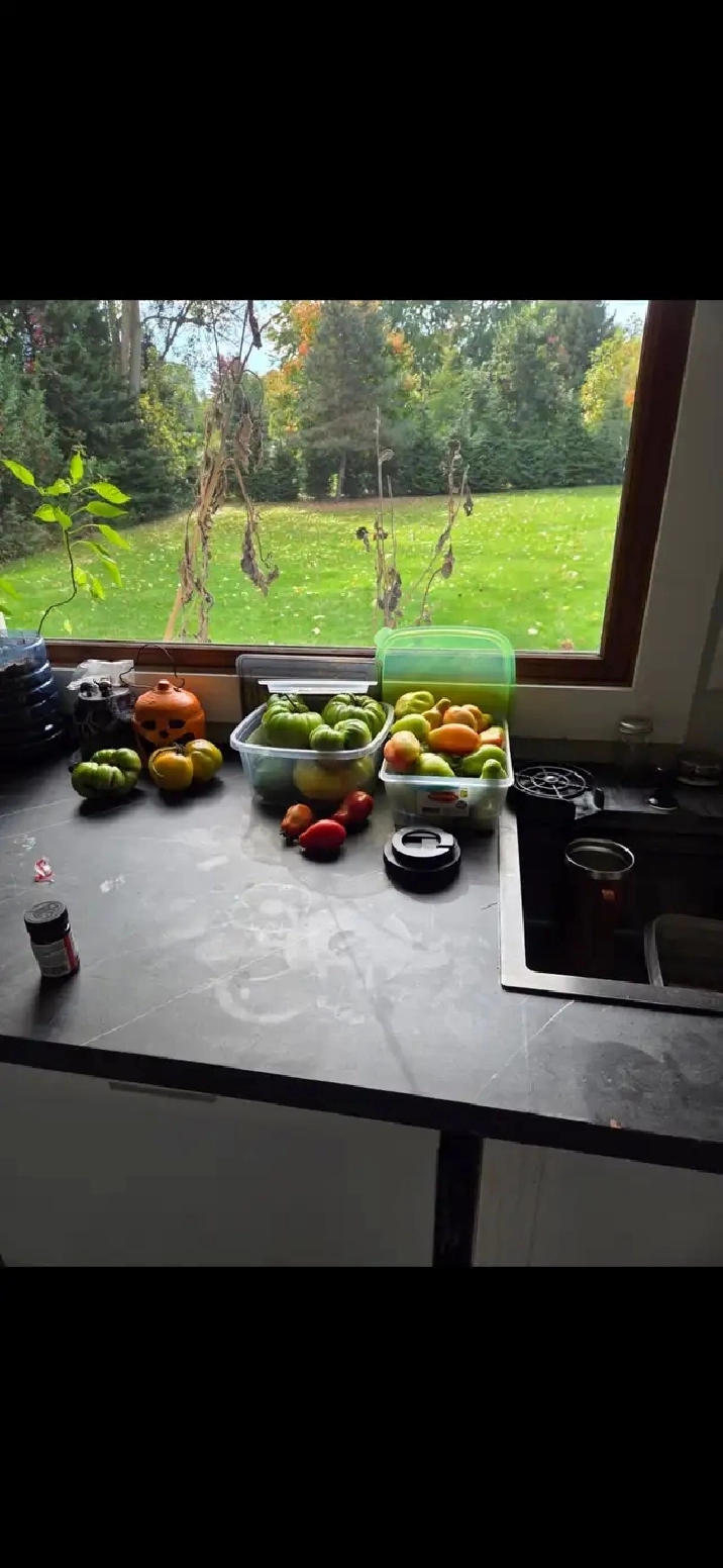 Room for rent plus access to amenities.