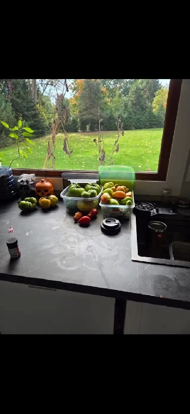 Room for rent plus access to amenities.