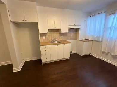 MÉTRO JOLIETTE: TRÈS GRAND 3 1/2 ENSOLEILLÉ RDC, HOCHELAGA, COUR Image# 1