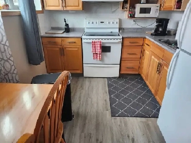 Basement suite rental