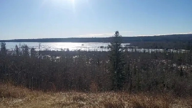 looking for a room in a basement 600-700$ Image# 1