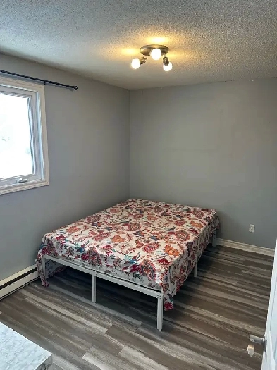 Private Room for rent Image# 4