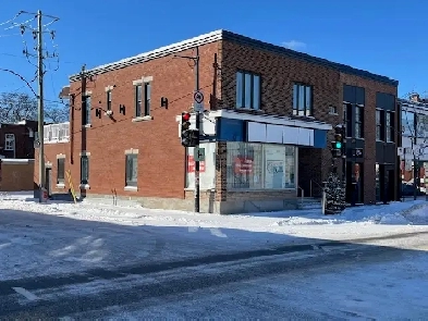 LOCAL COMMERCIAL À LOUER - 8900 RUE LAJEUNESSE, MONTRÉAL H2M 1R9 Image# 4