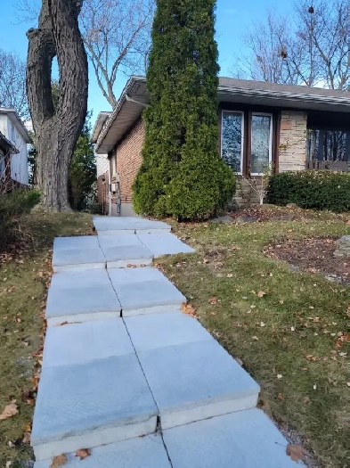 Spacious Bachelor Suite with Walk-Out to Backyard and Large Kitc Image# 6