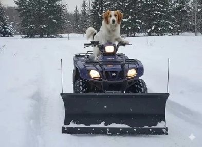 Land SEVERANCE application