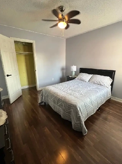 2 Rooms for rent (female only) Image# 2