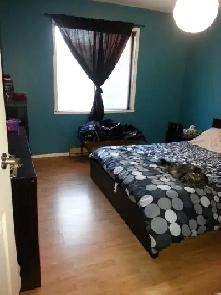 Très grand 4 1/2 bon secteur Image# 8