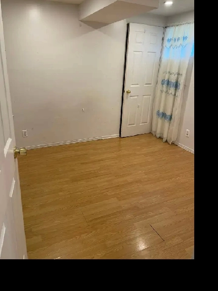 One Bedroom Independent Basement Unit for Rent Image# 6