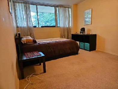 Two employed male adults looking for a third roommate