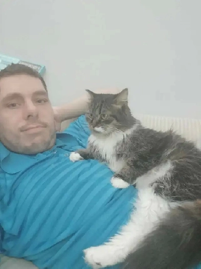 looking for 1 bedroom apartment Image# 4