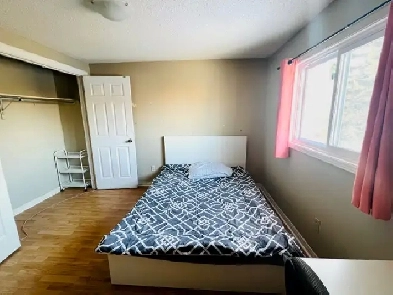 $750/UNIVERSITY OF TORONTO UTSC/CENTENNIAL COLLEGE Image# 2