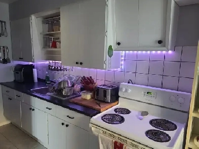 BEAUTIFUL RENOVATED 2 BDR APT. - HEAT INCL. - APRIL 1 Image# 6