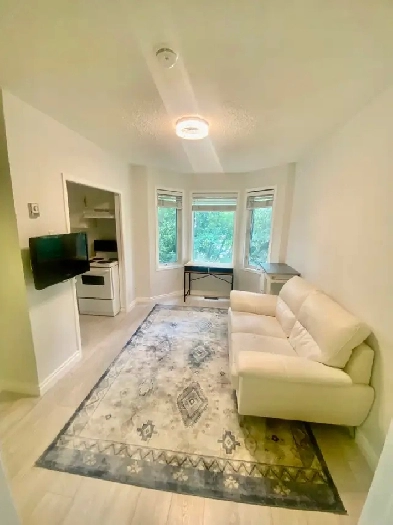 NAIT/Kingsway/Furnished 1 BDR APT/Monthly or Longterm Image# 2