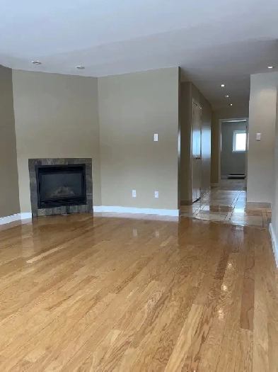 Large renovated three bedroom Apt. Image# 3