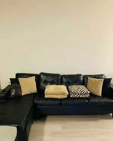 INTERNATIONAL STUDENTS WELCOME YONGE AND EGLINTON Image# 5