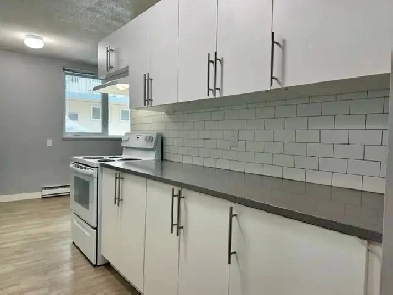 1-Bedroom Apartment Suites in St Vital - April 1st & May 1st Image# 4