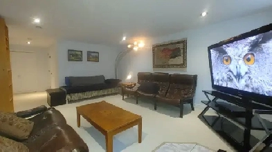 1 Bdrm. Apartment, short/long term, Best value - move-in ready Image# 7