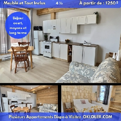 APPARTEMENT MEUBLÉ-TOUT INCLUS 2 CHAMBRES 4 1/2 CENTRE VILLE Image# 1