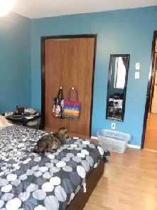 Nice 4 12 Beautiful West Island