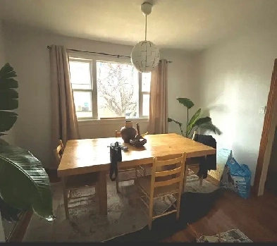 Elmwood home for rent Image# 6