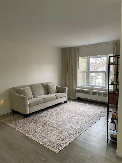 Summer Sublet: Furnished 1-Bedroom Apartment