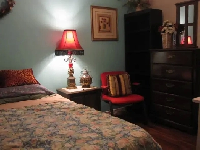 ROOM FOR RENT FURNISHED ALL INCLUDED 45