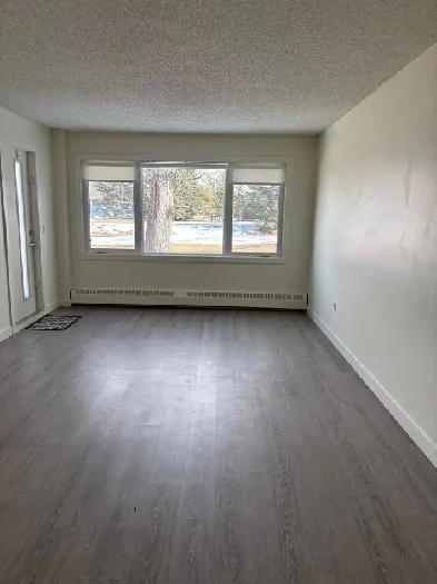 1 BDRM APARTMENT Image# 2