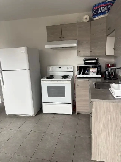 Meublé 4 1/2 à louer, Montreal Sud-Ouest, renové et propre Image# 3