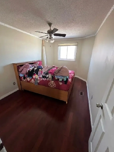 SHARED ROOM AVAIALBLE IN MISSISSAUGA HEART OF THE CITY