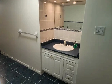 DUFFERIN/LAWRENCE TORONTO  1 BEDROOM BASEMENT APARTMENT FOR RENT Image# 4