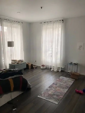 Downtown Montreal Metro Papineau luxury 2 1/2 with appliances Image# 7