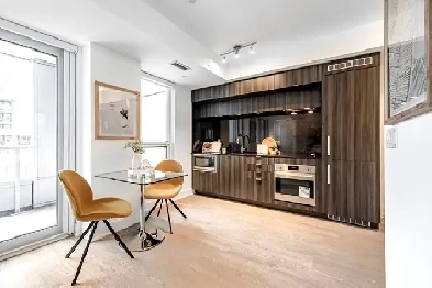 Spacious 600SF 1BR condo available May 1st 2026 Spadina/Queen W Image# 3
