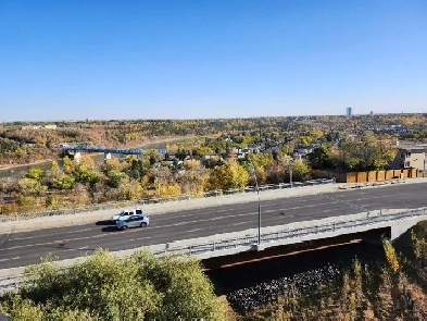 2 Bedroom 1 Bath Jasper Ave Best Views Image# 8