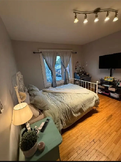 Bright Private Room for Rent Image# 3