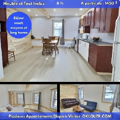 APPARTEMENT MEUBLTOUT INCLUS 4 CHAMBRES 6 12    CENTRE VILLE