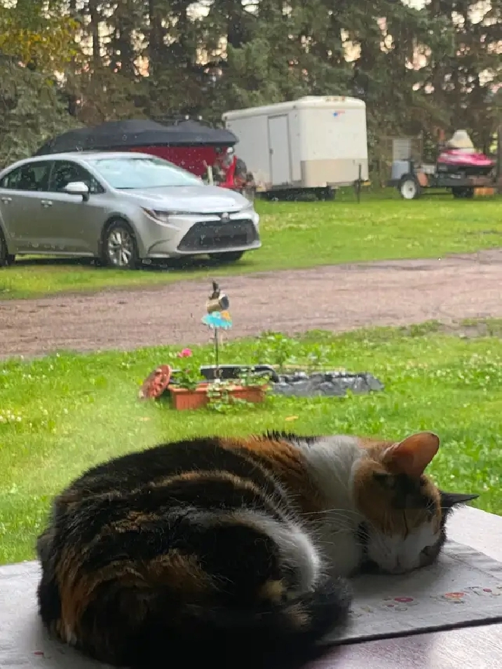 Parking 50 & up & storage in a lg lockable outdoor bldg $200