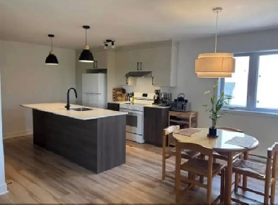 SteAnnedesPlaines Grand 4 12 neuf  louer