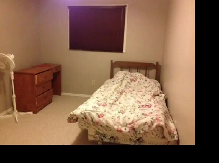 ALL INCLUSIVE FURNISHED room for rent