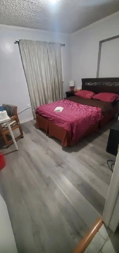 Clean Room for One Person May1 Downtown Brampton Image# 5