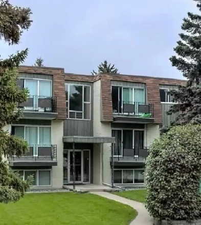 Updated 1 Bed Suite  Pet Friendly  InSuite Laundry