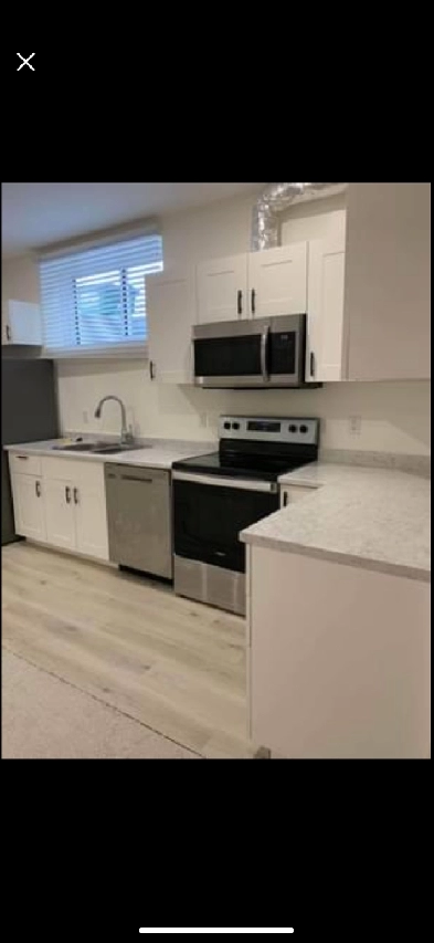 Rent out the basement Image# 6