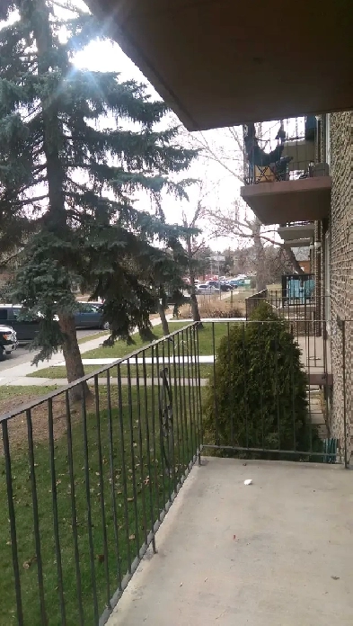 1 Bedroom Suite  Sunalta