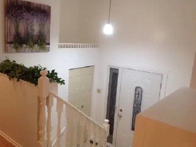 Good size Punished room for female student,near UofL, April 1st