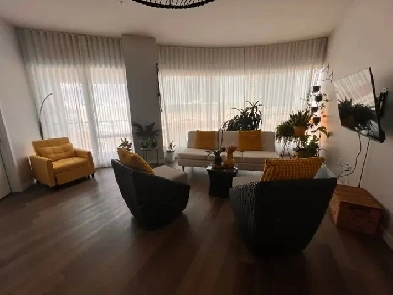 1 bedroom apartment sublease AprilMay 2026