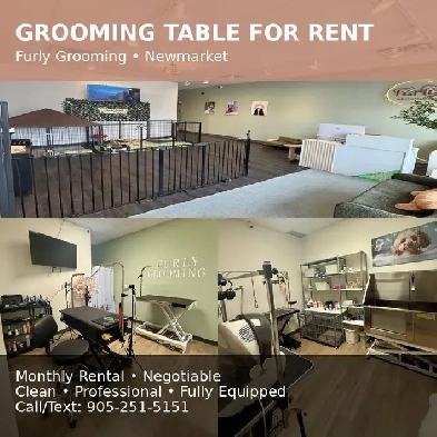 Grooming Table for Rent  Newmarket