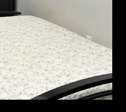 A sharedfurnished room for rent in Mississauga from April 1st