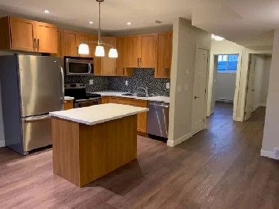1 bedroom basement suite in Varsity View