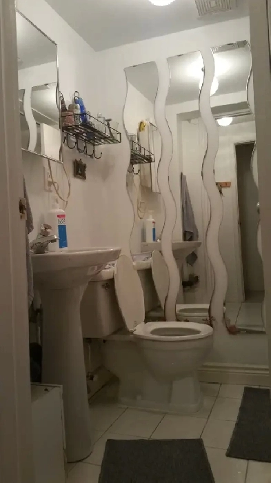 2 Bedroom Basement in Detached House for Rent