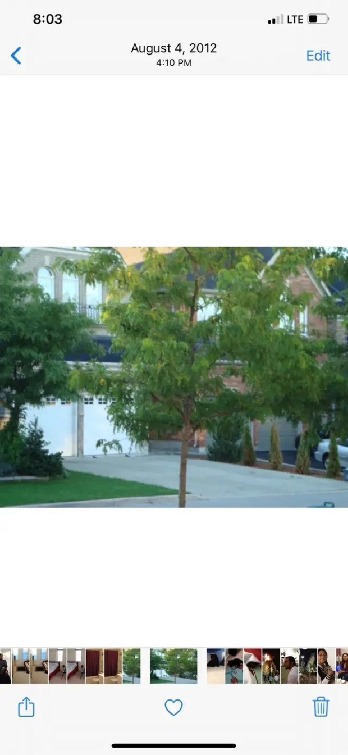 Mississauga-Room for Rent