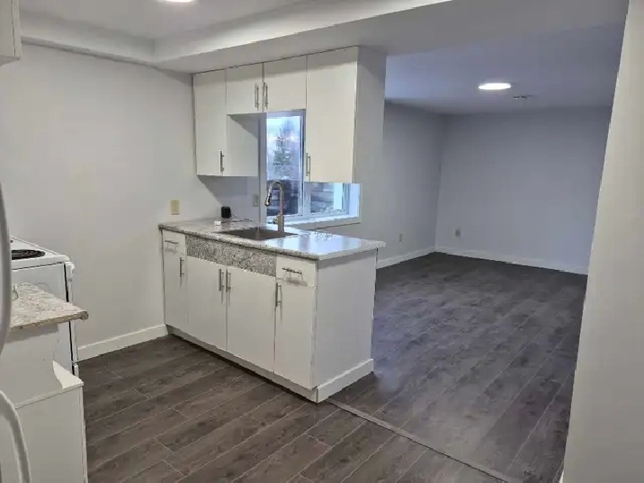 1 bedroom apartment for rent